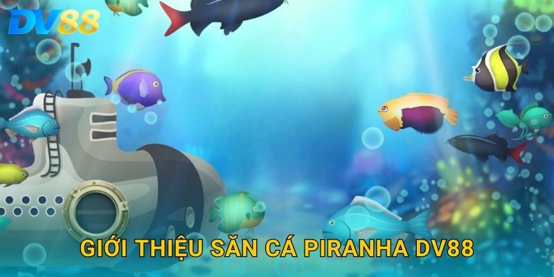 Giới thiệu săn cá Piranha DV88