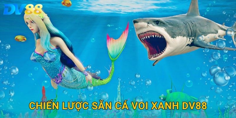 Chiến lược săn cá voi xanh DV88