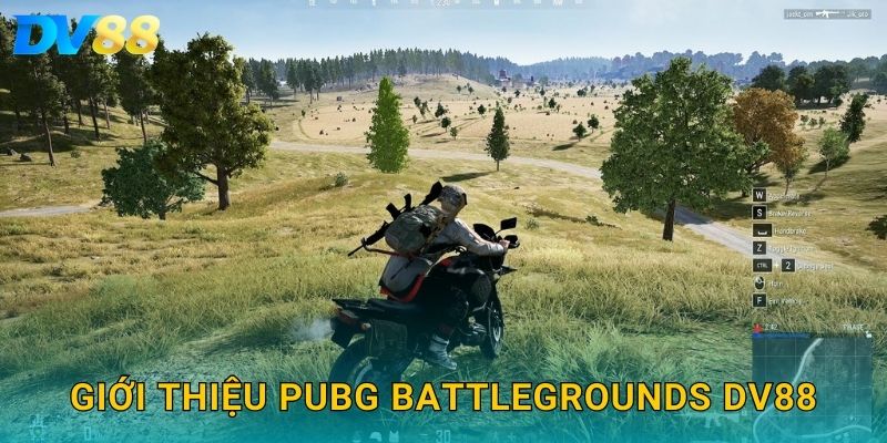 Giới thiệu PUBG Battlegrounds DV88