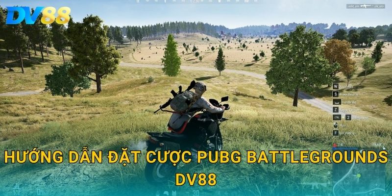 Hướng dẫn đặt cược PUBG Battlegrounds DV88